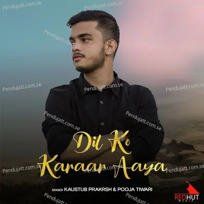 Dil Ko Karaar Aaya - Kaustub Prakrsh album cover 