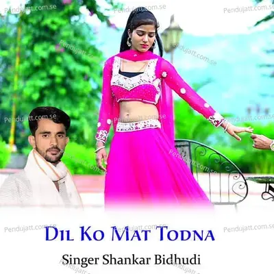 Dil Ko Mat Todna - Shankar Bidhudi album cover 