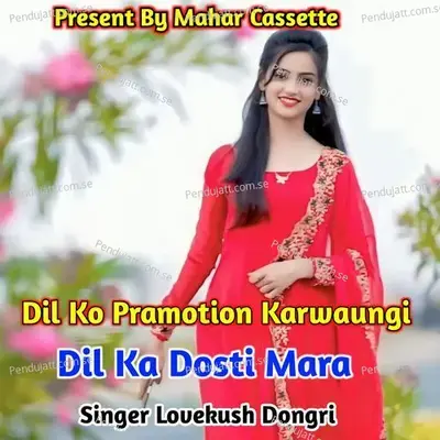 Dil Ko Pramotion Karwaugi Dil Ka Dosti Mara - Lovekush Dungri