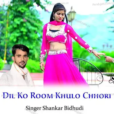 Dil Ko Room Khulo Chhori - Shankar Bidhudi album cover 