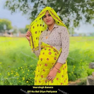 Dil Ku Bal Diyo Patlyasa - Veersingh Banota album cover 
