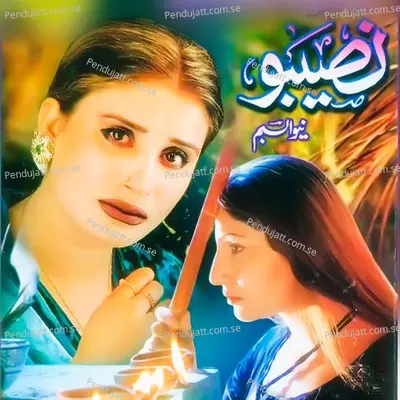 Dil Lagaya Tha - Naseebo Lal cover album