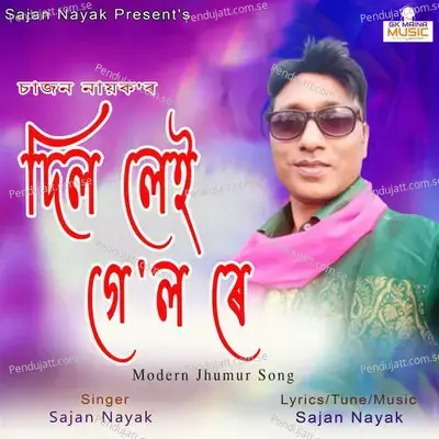 Dil Lai Gelo Re - Sajan Nayak album cover 