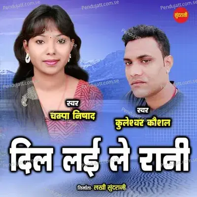 Dil Lai Le Rani - Kuleshwar Kaushal album cover 