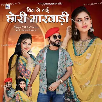 Dil Le Gai Chhori Marwadi - Tilok Chohan album cover 