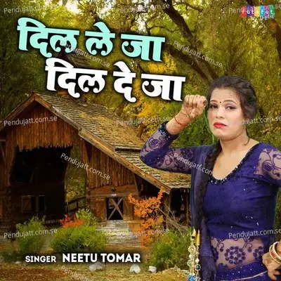Dil Le Ja Dil De Ja - Neetu Tomar album cover 