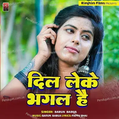 Dil Leke Bhagal Hai mp3 song