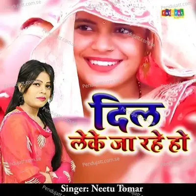 Dil Leke Ja Rahe Ho - Neetu Tomar album cover 