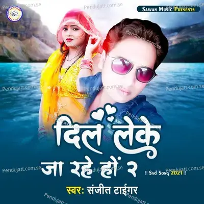 Dil Leke  Ja Rahe Ho 2 - Sanjeet Tiger album cover 