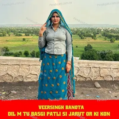 Dil M Tu Basgi Patli Si Jarut Or Ki Kon - Veersingh Banota album cover 