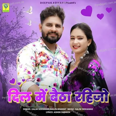 Dil Main Betha Rahijo - Salim Shekhawas album cover 