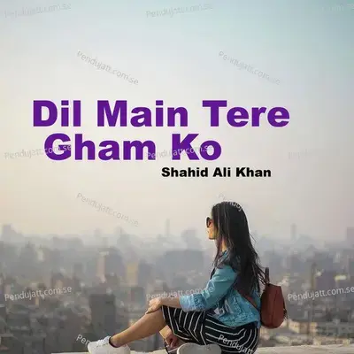 Dil Main Tere Gham Ko - Shahid Ali Khan album cover 