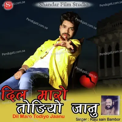 Dil Maro Todiyo Jaanu - Raju Sain Bambor album cover 