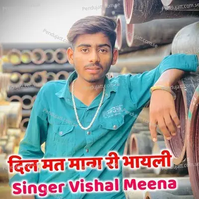 Dil Mat Mang Ri Bhayeli - Singer Vishal Meena album cover 