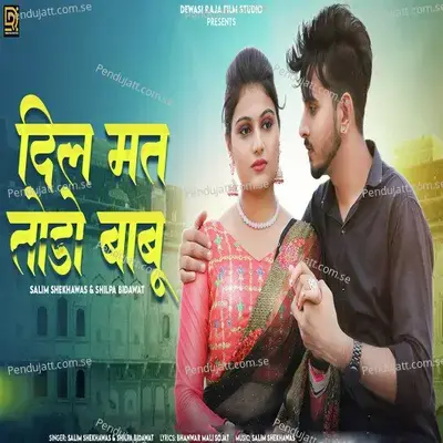 Dil Mat Todo Babu - Salim Shekhawas