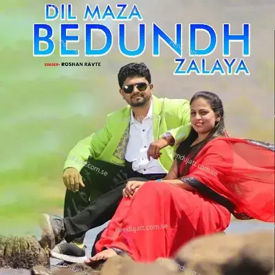 Dil Maza Bedundh Zalaya - Roshan Ravte album cover 
