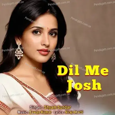 Dil Me Josh - Shyam Sunder album cover 