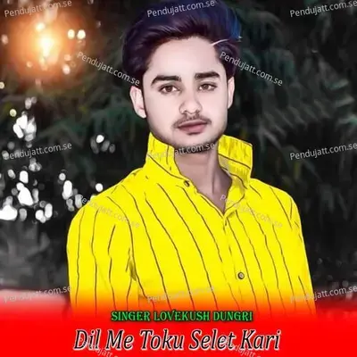 Dil Me Toku Selet Kari - Lovekush Dungri album cover 