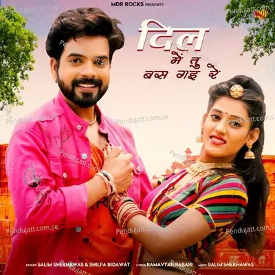 Dil Me Tu Bas Gai Re - Salim Shekhawas album cover 