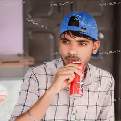 Dil Mein Dard Sa Ye Hai - Meena album cover 