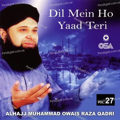 Mera Dil Aur Meri Jaan Madine Wale - Alhajj Muhammad Owais Raza Qadri album cover 