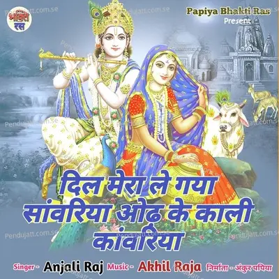 Dil Mera Le Gaya Sanvariya Odh Ke Kali Kamariya - Anjali Raj album cover 