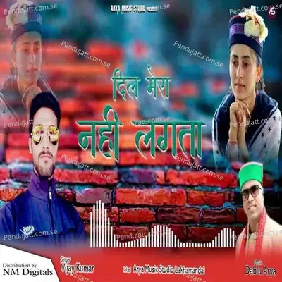 Dil Mera Nahi Lgta - Vijay Kumar album cover 