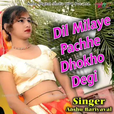 Dil Milaye Pachhe Dhokho Degi - Aashu Bariyaval album cover 