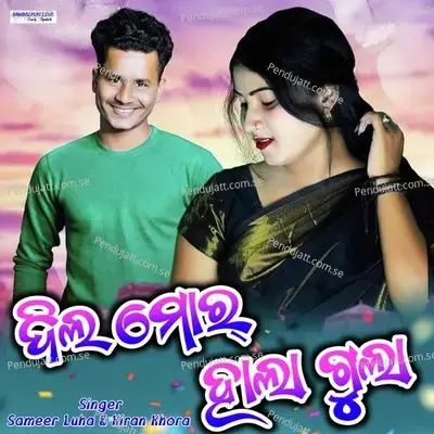 Dil Mor Halla Gulla - Sameer Luha album cover 