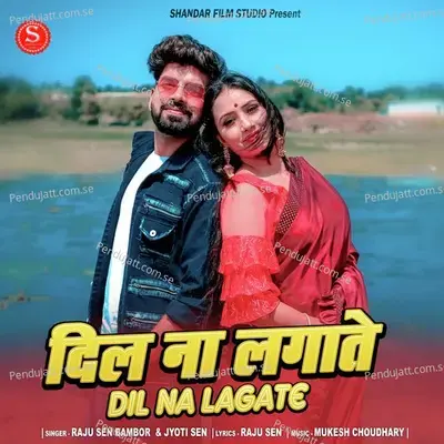 Dil Na Lagate - Raju Sain Bambor album cover 