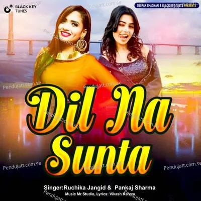 Dil Na Sunta - Ruchika Jangid album cover 