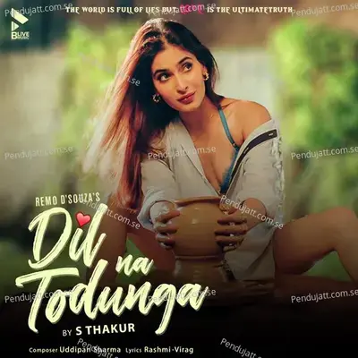 Dil Na Todunga - S. Thakur album cover 