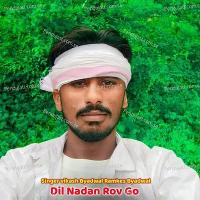 Dil Nadan Rov Go - Vikash byadwal album cover 