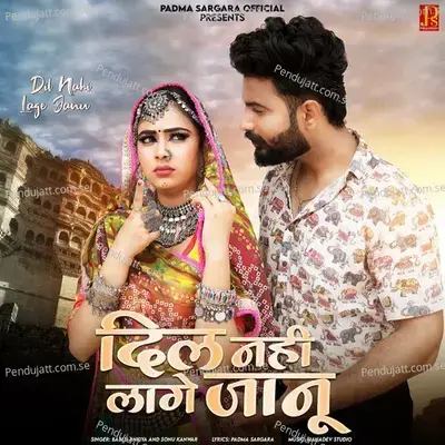 Dil Nahi Lage Janu - Bablu Ankiya album cover 