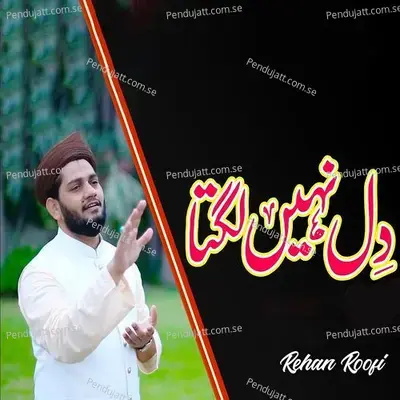 Dil Nahi Lagta - Hafiz Rehan Roofi album cover 