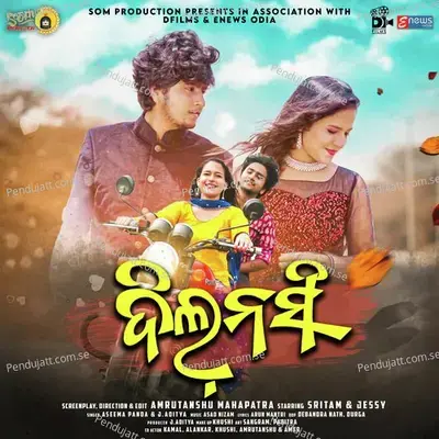Dil Nashi - Aseema Panda album cover 