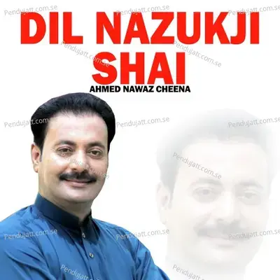 Dil Nazukji Shai - Ahmed Nawaz Cheena cover album