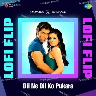 Dil Ne Dil Ko Pukara - Lofi Flip mp3 song