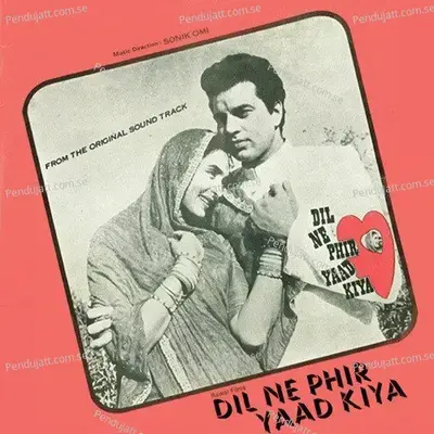 Humne Jalwa Dikhaya To Jal Jaoge - Sonik Omi album cover 