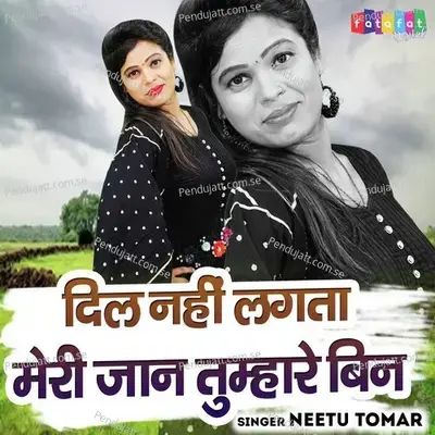 Dil Nhi Lagta Meri Jaan Tumhare Bin - Neetu Tomar album cover 