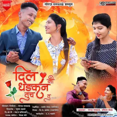 Dil Ni Dhadkan Tuch Tu - Bhaiya More album cover 