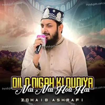 Dil O Nigah Ki Duniya Nai Nai Hoti Hai - Zohaib Ashrafi album cover 