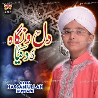 Dil O Nigah Ki Duniya - Syed Hassan Ullah Hussaini album cover 