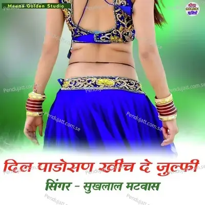 Dil Padosan Khich De Jhulfi - Sukhlal Matwas album cover 