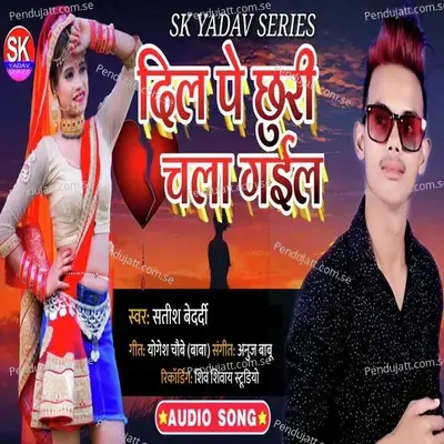 Dil Pe Chhuri Chala Gail - Satish Bedardi album cover 