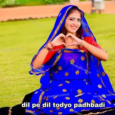 Dil Pe Dil Todyo Padhbadi - Lovely Meena album cover 