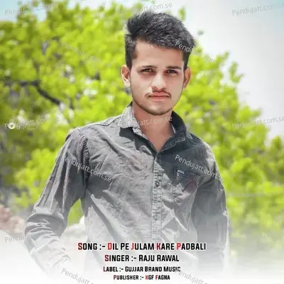 Dil Pe Julam Kare Padbali - Raju Rawal