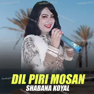 Dil Piri Mosan - Shabana Koyal album cover 