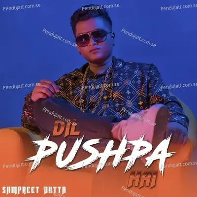 Dil Pushpa Hai - Sampreet Dutta album cover 