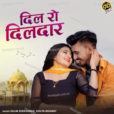 Dil Ro Dildar - Salim Shekhawas album cover 